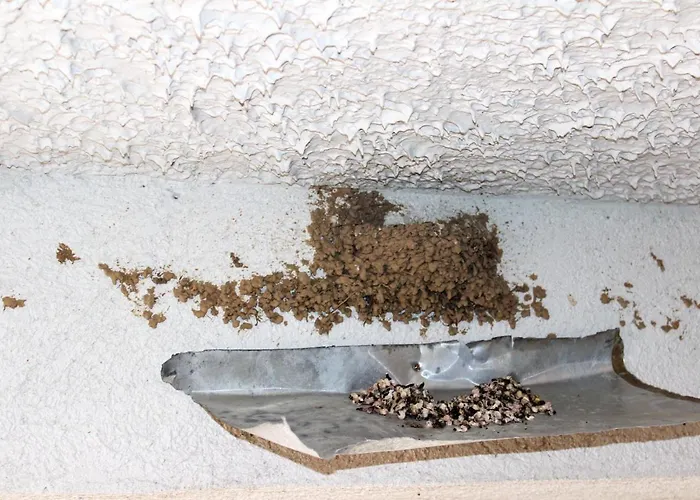 Appartement Seaside In *